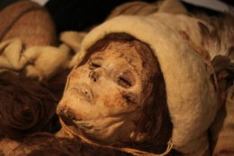Немецкие химики на груди мумии нашли загадочный деликатес