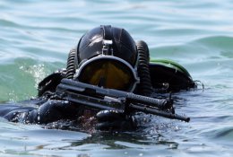 В Стрелецкой бухте Севастополя военные моряки обнаружили подводных диверсантов