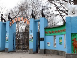 В Харьковском зоопарке начнут  гибнуть животные