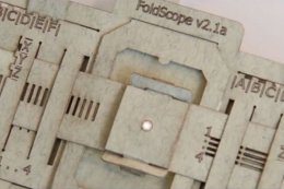 Ученые разработали бумажный микроскоп (ВИДЕО)