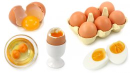 Куриные яйца благотворно влияют на работу мозга