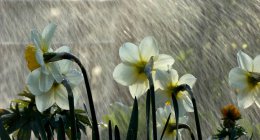 4 апреля в Украине ожидаются дожди, температура существенно не изменится