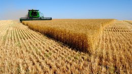 Крымский кризис повлиял на мировые цены зерновых
