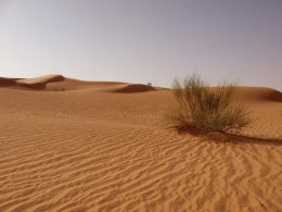 Какую роль играют пустыни на нашей планете