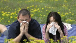Простуда или аллергия? Какие симптом помогут раскрыть характер заболевания