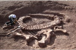 Ученые заявили о находке останков самого большого динозавра