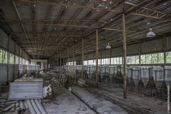 База гидробиологов в Чернобыле работала до 2008 года (ФОТО)