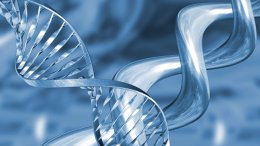 Люди склонны выбирать себе в спутники жизни партнеров с похожими ДНК