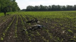 Утром под Волновахой погибло 16 украинских воинов (ФОТО)
