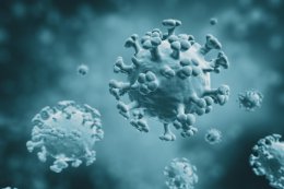 Вирус кори может помочь при лечении особенно агрессивных форм рака