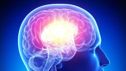 Имплантат, вживляемый в мозг, избавит от заболеваний Паркинсона и эпилепсии