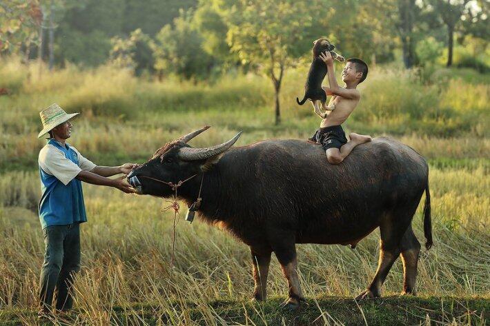 Сказочный Таиланд в объективе знаменитого фотографа (ФОТО)