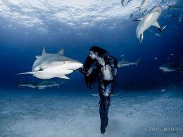 Танцующая с акулами (ФОТО)