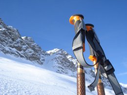 Робота научили передвигаться с помощью лыжных палок (ФОТО)