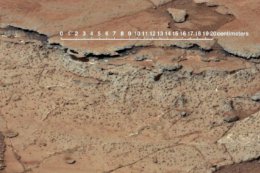 Марсианская почва может содержать микробы