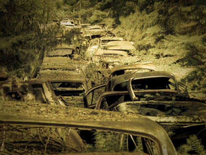 Кладбище старинных автомобилей в бельгийском лесу (ФОТО)