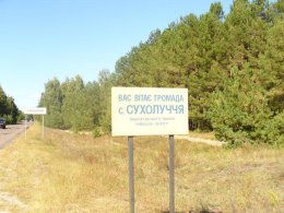 Суд вернул государству гектары леса, присвоенные Януковичем