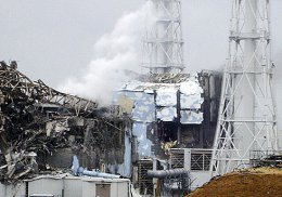 В результате аварии на "Фукусиме" замечены многочисленные мутации