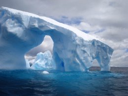 Ученые обнаружили в водах Антарктики множество микроорганизмов