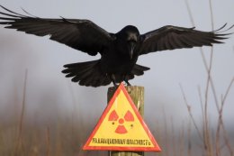 В Украине началось строительство хранилища для ядерных отходов