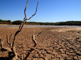 Юго-Запад США переживет до конца века десятилетнюю засуху