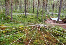 В Норвежских лесах развернули систему мониторинга ядерных взрывов