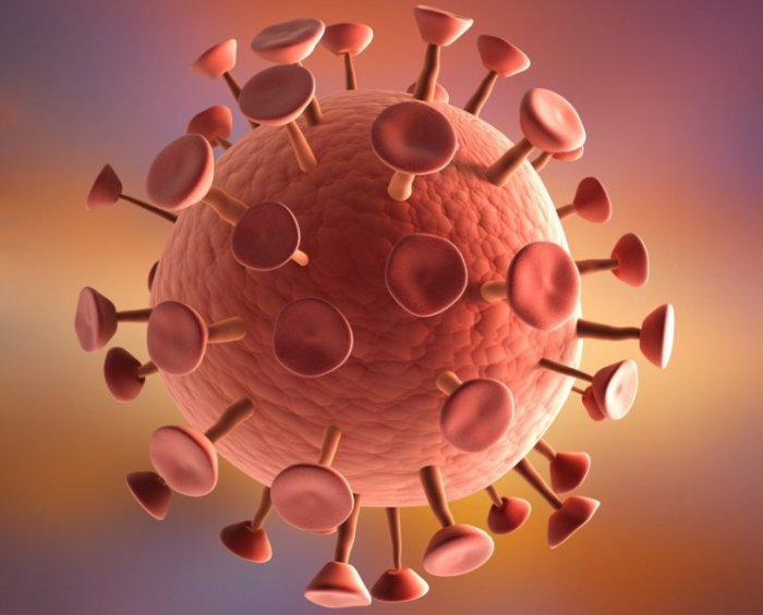 Вирусы, несущие не меньшую опасность, чем Эбола (ФОТО)