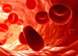 Ученые придумали способ, как восстановить систему кровеносных сосудов человека