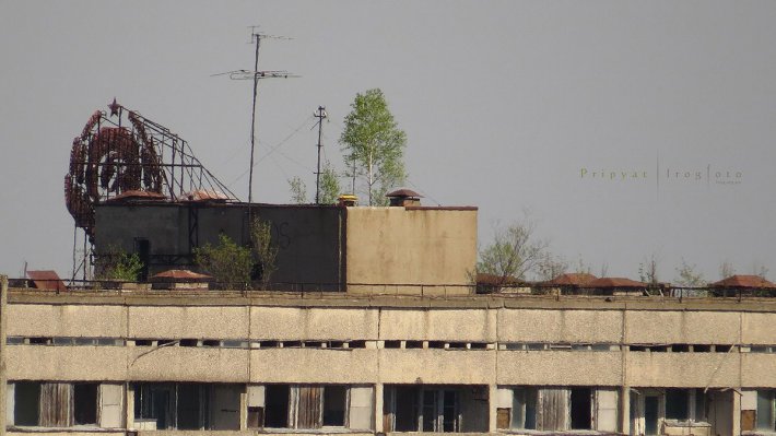 Чернобыль оживает (ФОТО)