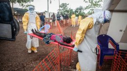 Паника из-за Эболы создается виртуально в СМИ, чтобы отвлечь внимание людей от насущных проблем - эксперт