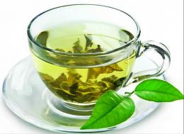 Прием экстракта зеленого чая улучшает память