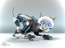 Роботов-ниндзя научат кошачьему поведению (ВИДЕО)