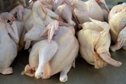 В Украине нет проблем с насыщением внутреннего рынка мясом птицы, - эксперт
