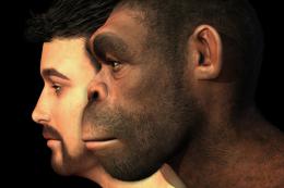 Исследователи доказали: люди произошли не от неандертальцев