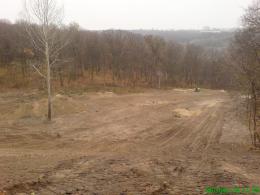 Экологи бьют тревогу: в Голосеевском парке вырубили вековые дубы (ФОТО)