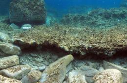 На дне Эгейского моря найдены «подводные Помпеи»