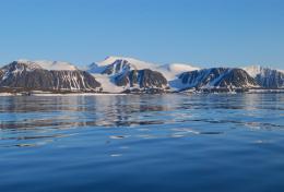 К концу XXI века Северный полюс может остаться без снега