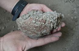 Глиняные кувшины рассказали о панике во время извержения Везувия