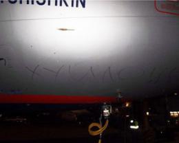 В Россию отправился самолет с надписью "Путин ..йло"