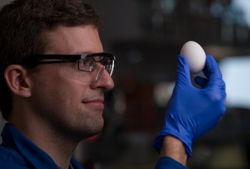 Ученые нашли метод, как сделать сваренные вкрутую яйца снова жидкими