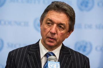Перемирие не соблюдается в полном объеме - представитель Украины в ООН