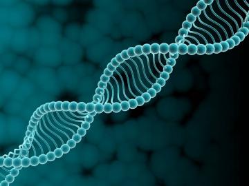 Ученые обнаружили антигравитационный ген