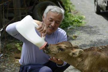 "Защитник Фукусимы" ухаживает за брошенными животными (ФОТО)
