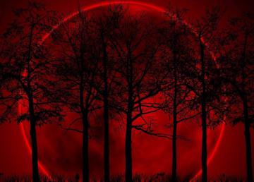 «Кровавое затмение Луны» в режиме онлайн (ВИДЕО)