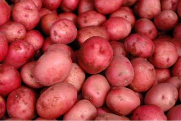 Ученые рассказали о пользе красного картофеля