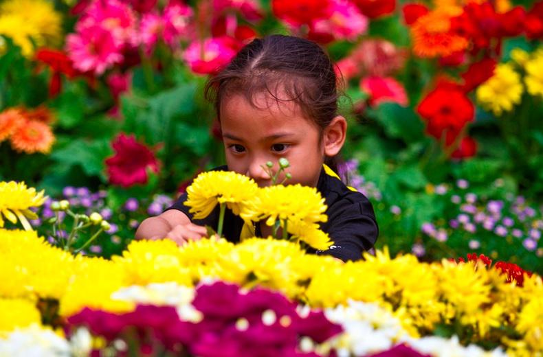  Когда расцветает «Флориа» - фестиваль цветов в Малайзии (ФОТО)
