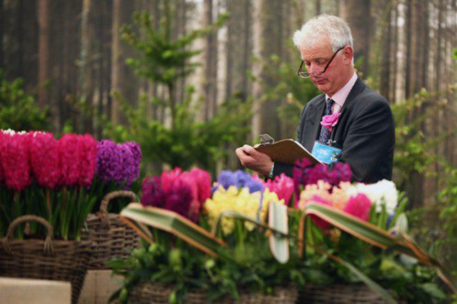 В Лондоне стартовало одно из самых ярких событий - цветочное шоу (ВИДЕО)