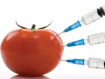 ГМО продукты приводят к мужскому бесплодию