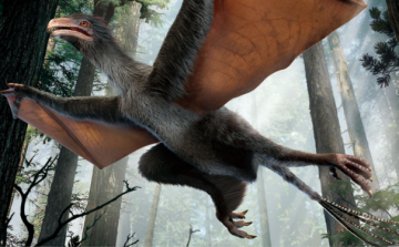 Бэтмен юрского периода. Палеонтологи нашли необычного динозавра (ФОТО)