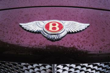 Британец обнаружил у себя в сарае винтажный автомобиль Bentley (ФОТО)